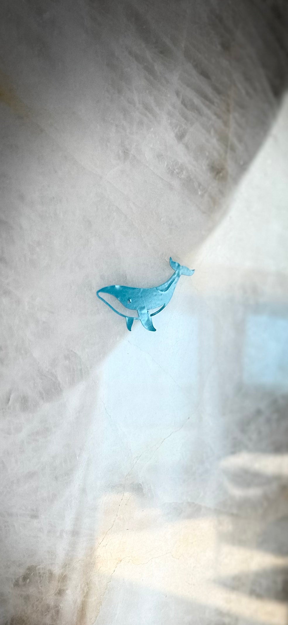 Whale sticker